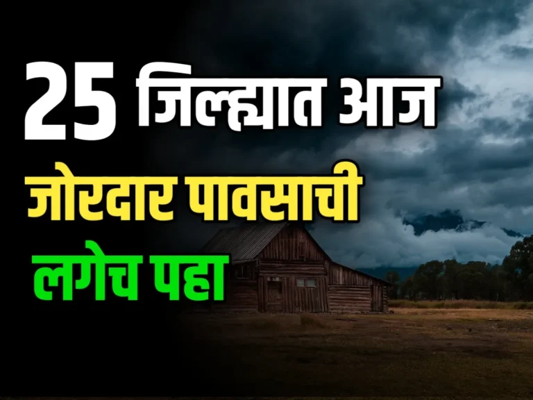 Weather Update : कोकणासह, मध्य महाराष्ट्र आणि मराठवाड्यात पावसाची शक्यता