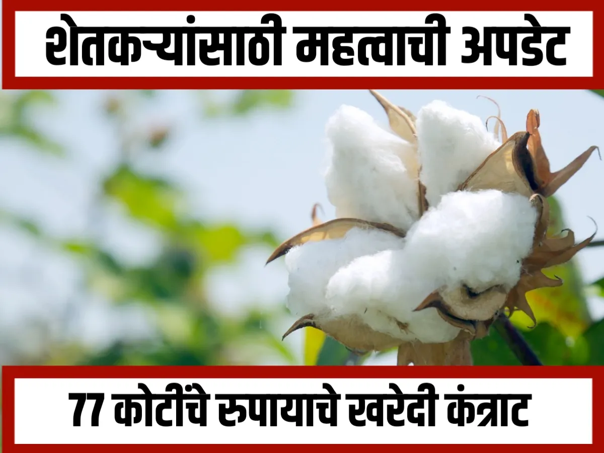 Cotton Storage Bag : 77 कोटी रुपयांच्या कापूस साठवणुकीच्या खिरापत