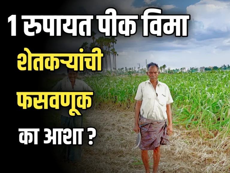 Crop Insurance : एक रुपयात पीकविमा - शेतकऱ्यांच्या आशा पण फसव्याच?