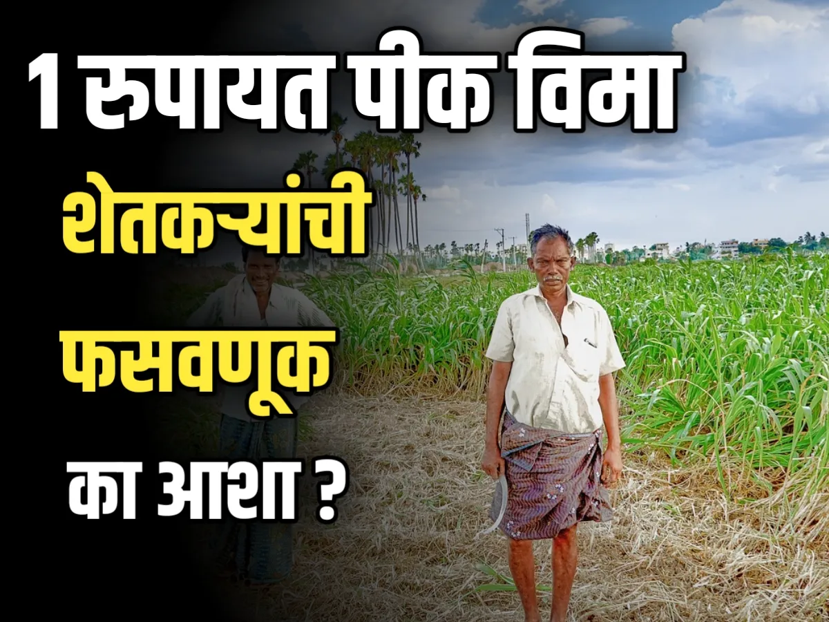 Crop Insurance : एक रुपयात पीकविमा - शेतकऱ्यांच्या आशा पण फसव्याच?