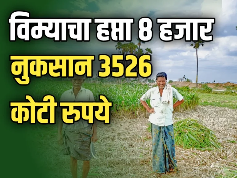 Crop Insurance : विम्याचा हप्ता 8 हजार कोटी, नुकसान भरपाई 3526 कोटी रुपये