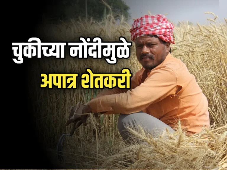 Crop Insurance : चुकीच्या नोंदीमुळे शेतकरी अपात्र ठरले