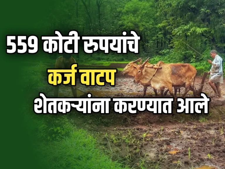 Kharif Season : खरीप हंगामासाठी शेतकऱ्यांना ५५९ कोटी रुपयांच्या कर्जाचे वाटप