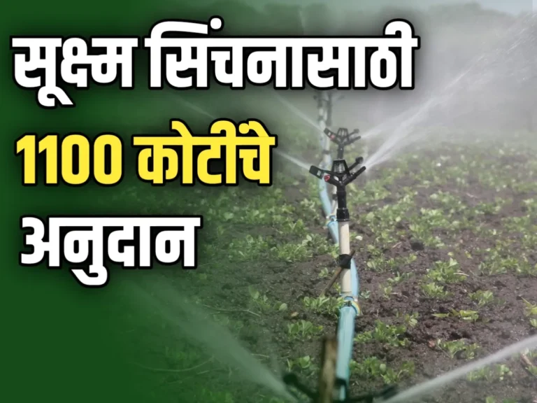 Micro Irrigation Subsidy : शेतकऱ्यांची मागणी - 'सूक्ष्म सिंचन' योजनेसाठी 1100 कोटींचे अनुदान