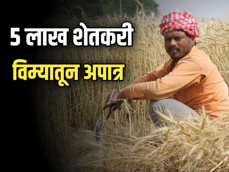 Crop Insurance Disqualified : 5 लाख शेतकरी पीक विम्यातून अपात्र