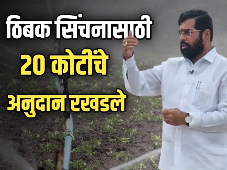 Drip Irrigation Subsidy : शेतकऱ्यांना दणका! 'ठिबक' सिंचनासाठी 20 कोटींचे अनुदान रखडले