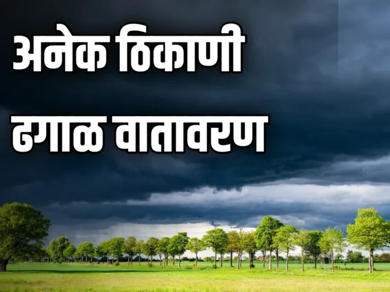 India Meteorological Department 2024 : पावसाचा जोर मंदावला! अनेक ठिकाणी ढगाळ वातावरण