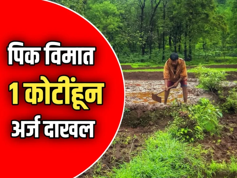 Kharif Crop Insurance : खरीप हंगामासाठी 1 कोटीहून अधिक शेतकऱ्यांचे पीक विम्यासाठी अर्ज