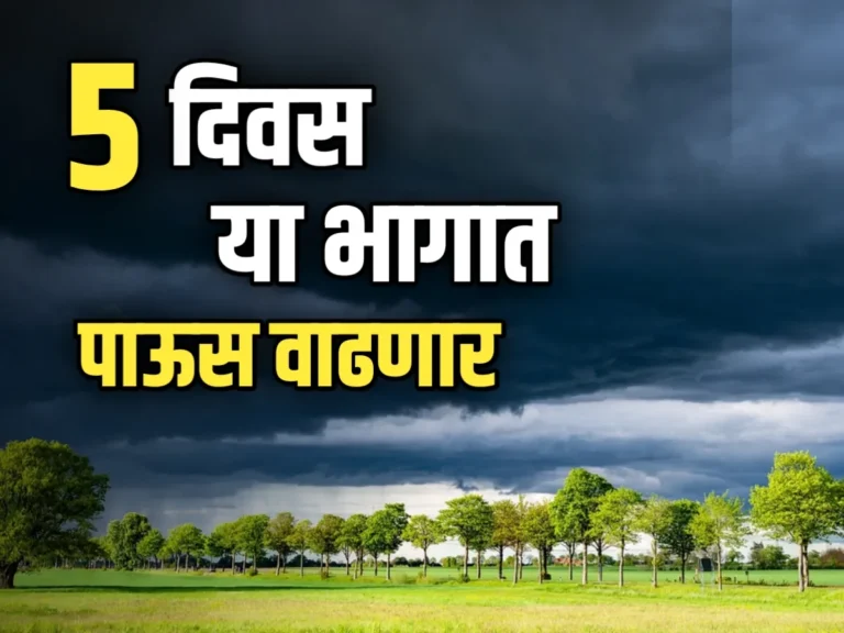 Monsoon Rain : पुढील 5 दिवस पाऊस कसा राहणार?