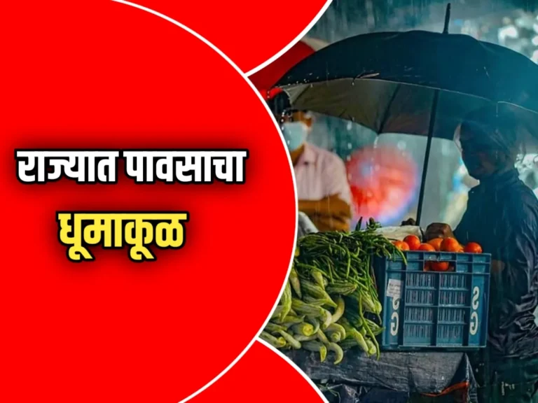 Rain Update भारतील अनेक भागांत पावसाचा धुमाकूळ