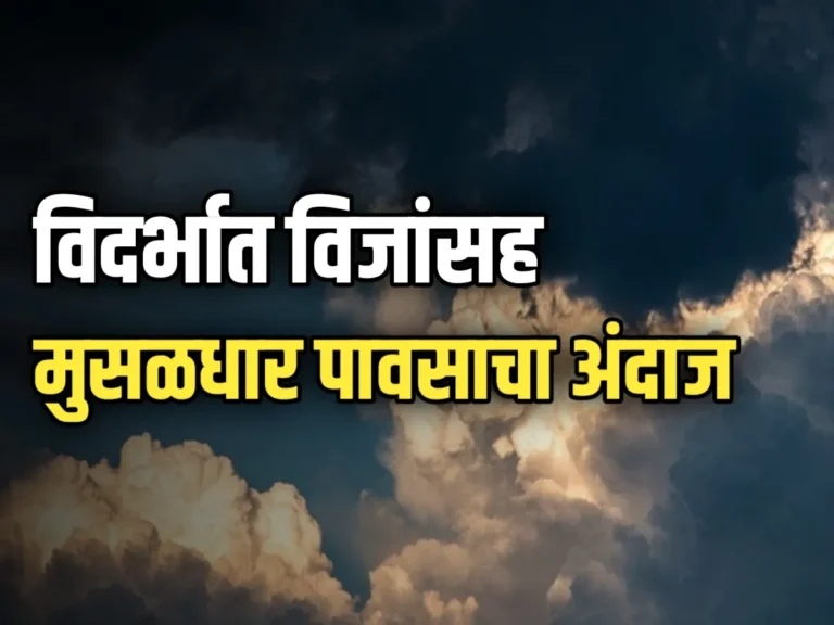 Weather Update : विदर्भात विजांसह पावसाचा अंदाज