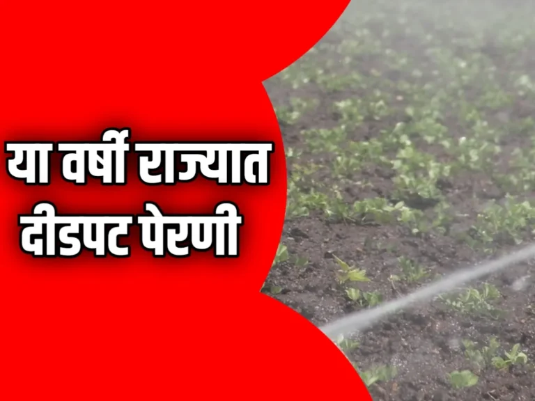 Kharif Sowing : महाराष्ट्रात यंदा कपाशीची पेरणी वाढली, तर सोयाबीनची दीडपट!