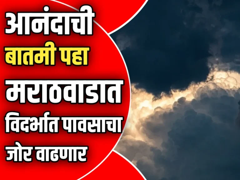 Maharashtra Rain : मराठवाडा आणि विदर्भात पावसाचा जोर, शेतकऱ्यांना दिलासा