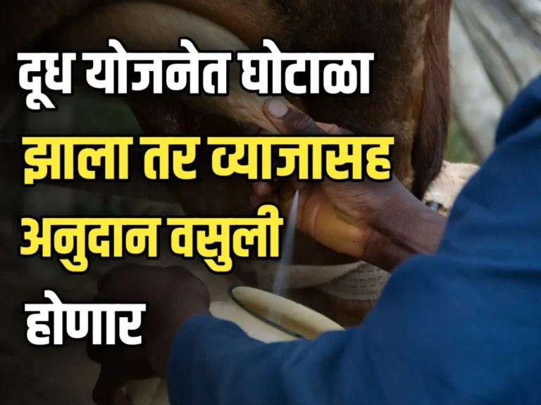 Milk Subsidy Recovery : दूध योजनेत घोटाळा केल्यास आता व्याजासह अनुदान वसुली