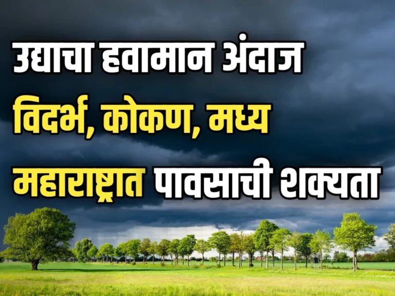 Monsoon Rain : उद्याचा हवामान अंदाज, विदर्भासह कोकण, मध्य महाराष्ट्राच्या घाटमाथ्यावर जोर वाढणार