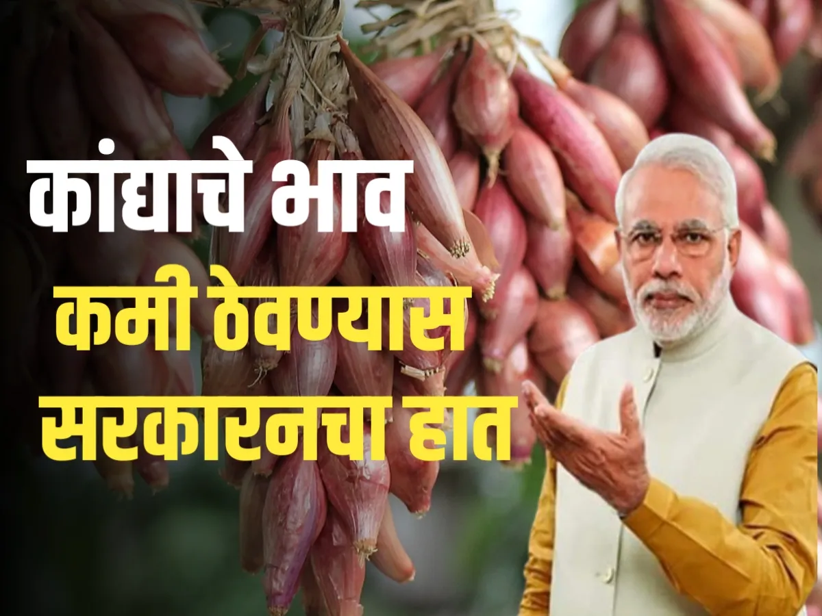 Onions Market : कांद्याचे भाव कमी ठेवण्यास सरकारची योजना