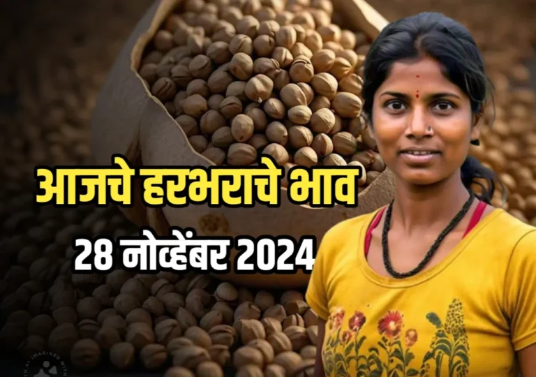 Chana Rate : आजचे हरभराचे भाव | 28 नोव्हेंबर 2024