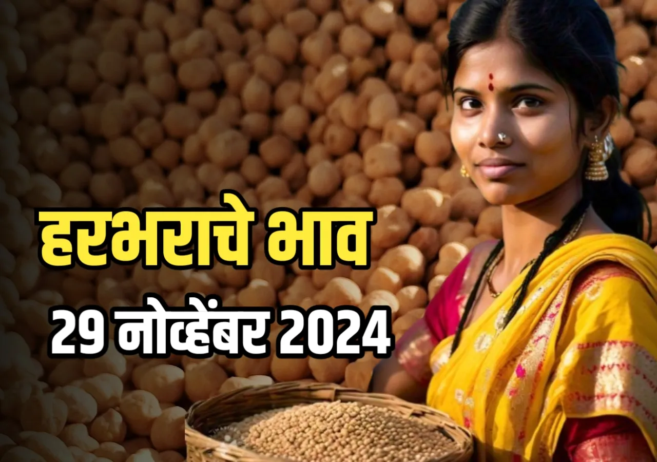 Chana Rate :आजचे हरभराचे भाव | 29 नोव्हेंबर 2024