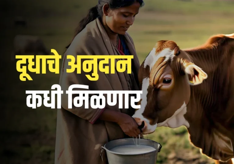 Dudh Anudan : दुध उत्पादकांना नोंव्हेबर मधील अनुदान कधी मिळणार ?