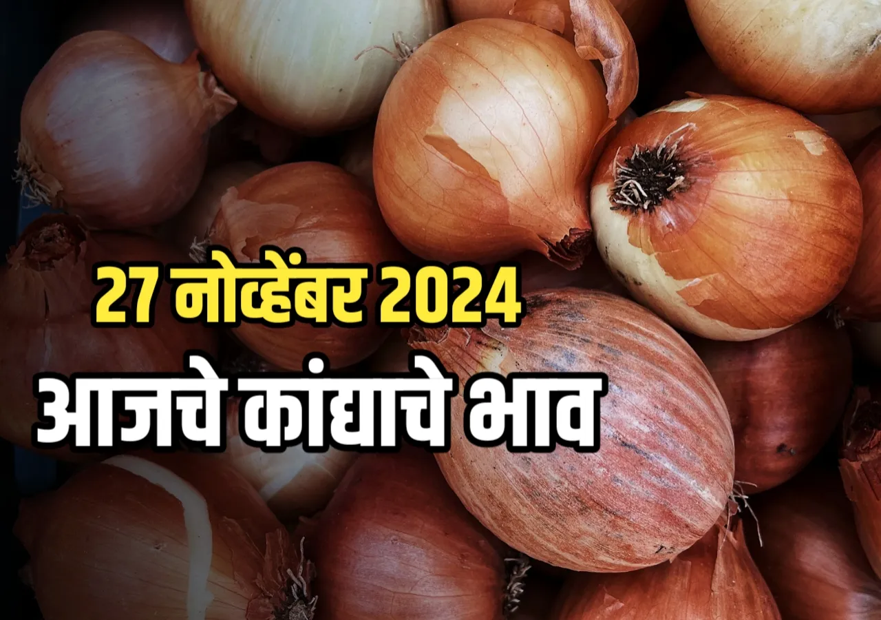 Onions Rate : आजचे कांद्याचे भाव | 27 नोव्हेंबर 2024