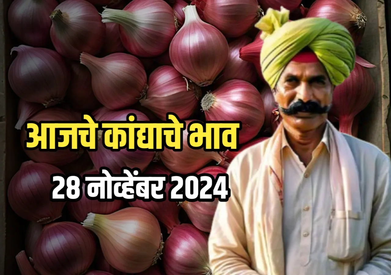 Onions Rate : आजचे कांद्याचे भाव | 28 नोव्हेंबर 2024