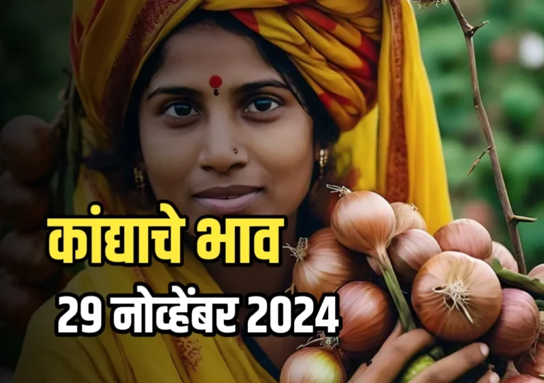 Onions Rate : आजचे कांद्याचे भाव | 29 नोव्हेंबर 2024