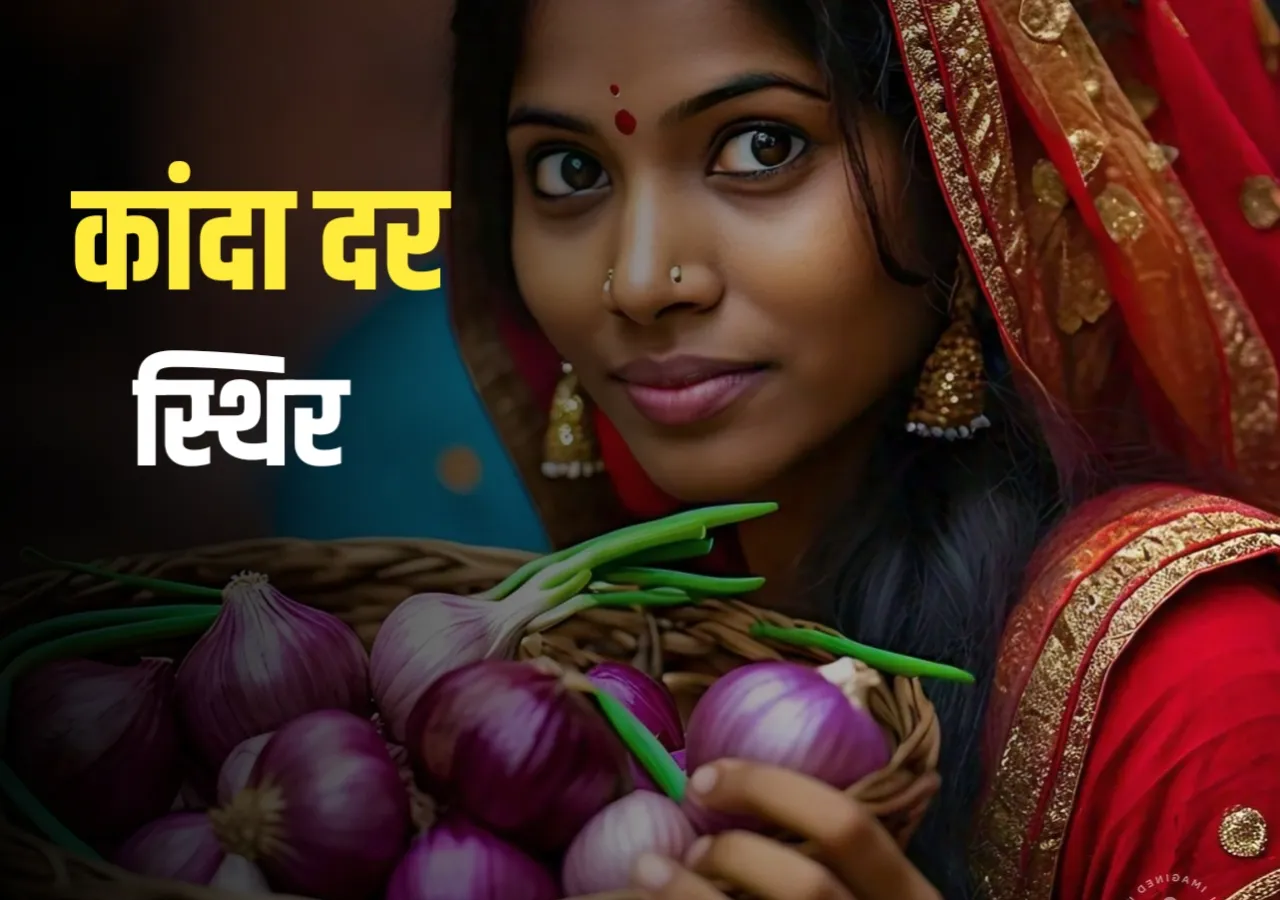 Onions Rate : आजचे कांद्याचे भाव | 30 नोव्हेंबर 2024