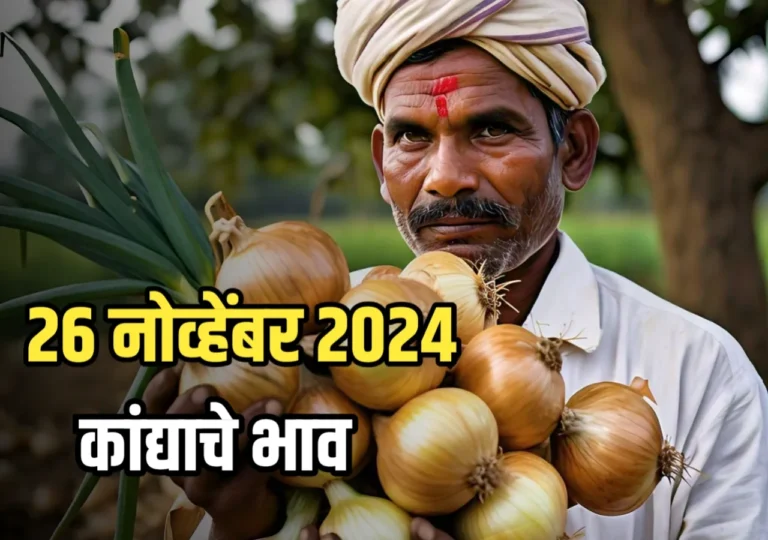 Onions Rate : आजचे कांद्याचे भाव | 26/11/2024