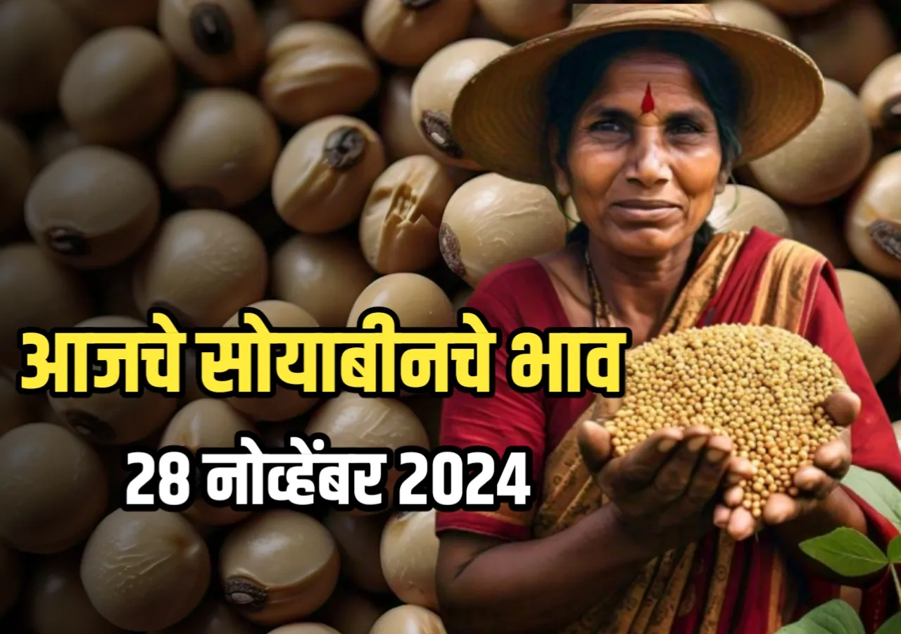 Soybean Rate : आजचे सोयाबीनचे भाव | 28 नोव्हेंबर 2024