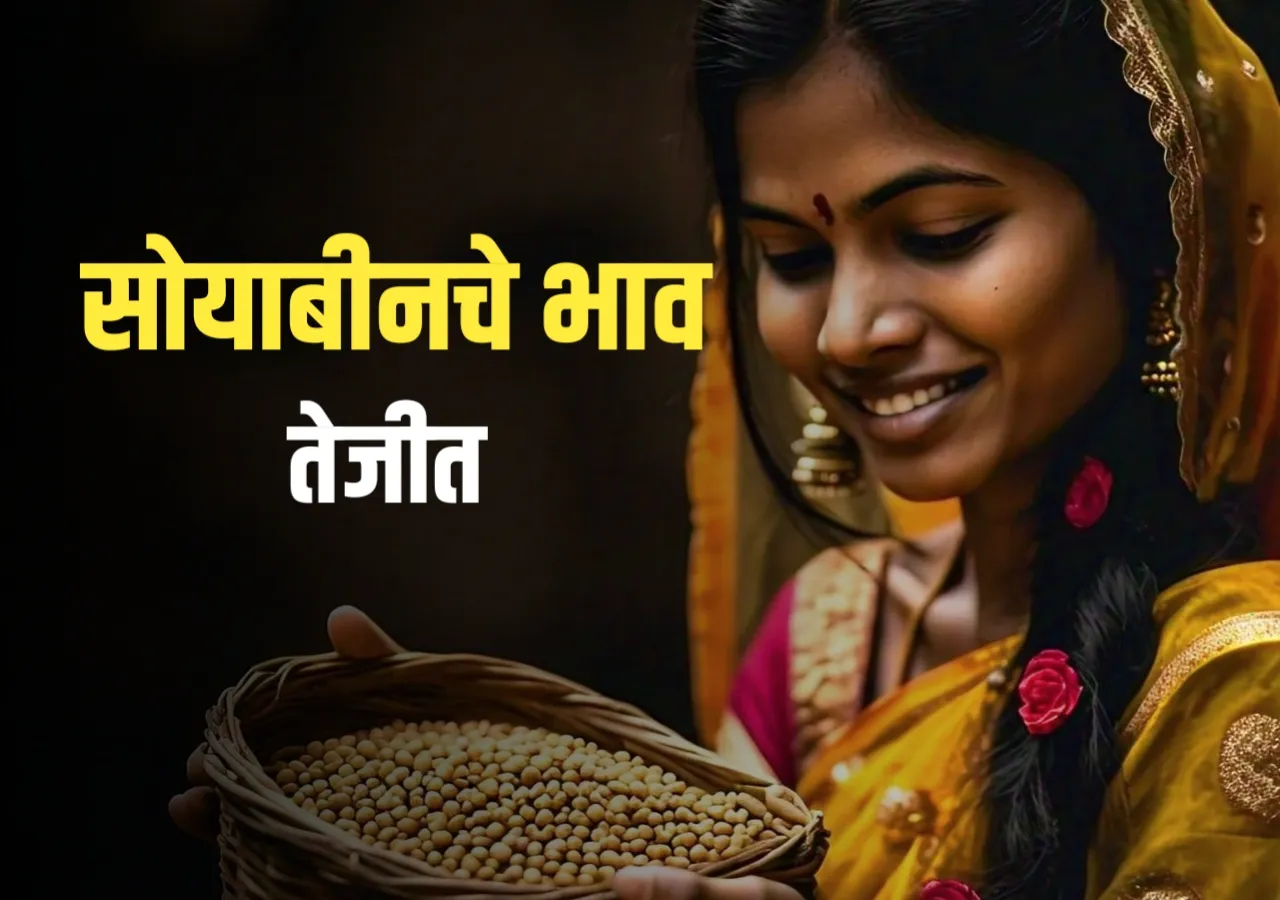 Soybean Rate : आजचे सोयाबीनचे भाव | 30 नोव्हेंबर 2024