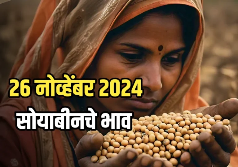 Soybean Rate : आजचे सोयाबीनचे भाव | 26/11/2024