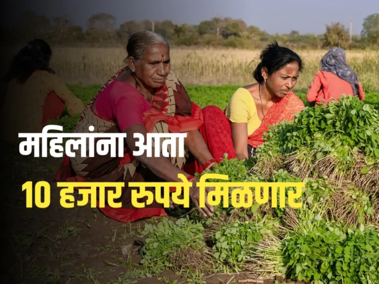 Subhadra Yojana : सुभद्रा योजने मध्ये महिल्यांना 10 हजार रुपये मिळणार