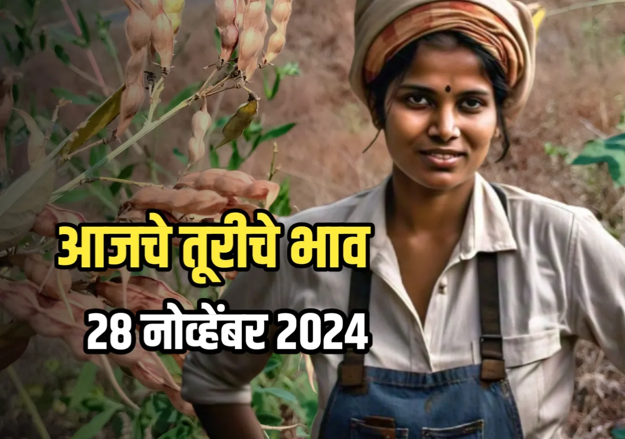 Tur Rate : आजचे तूरीचे भाव | 28 नोव्हेंबर 2024