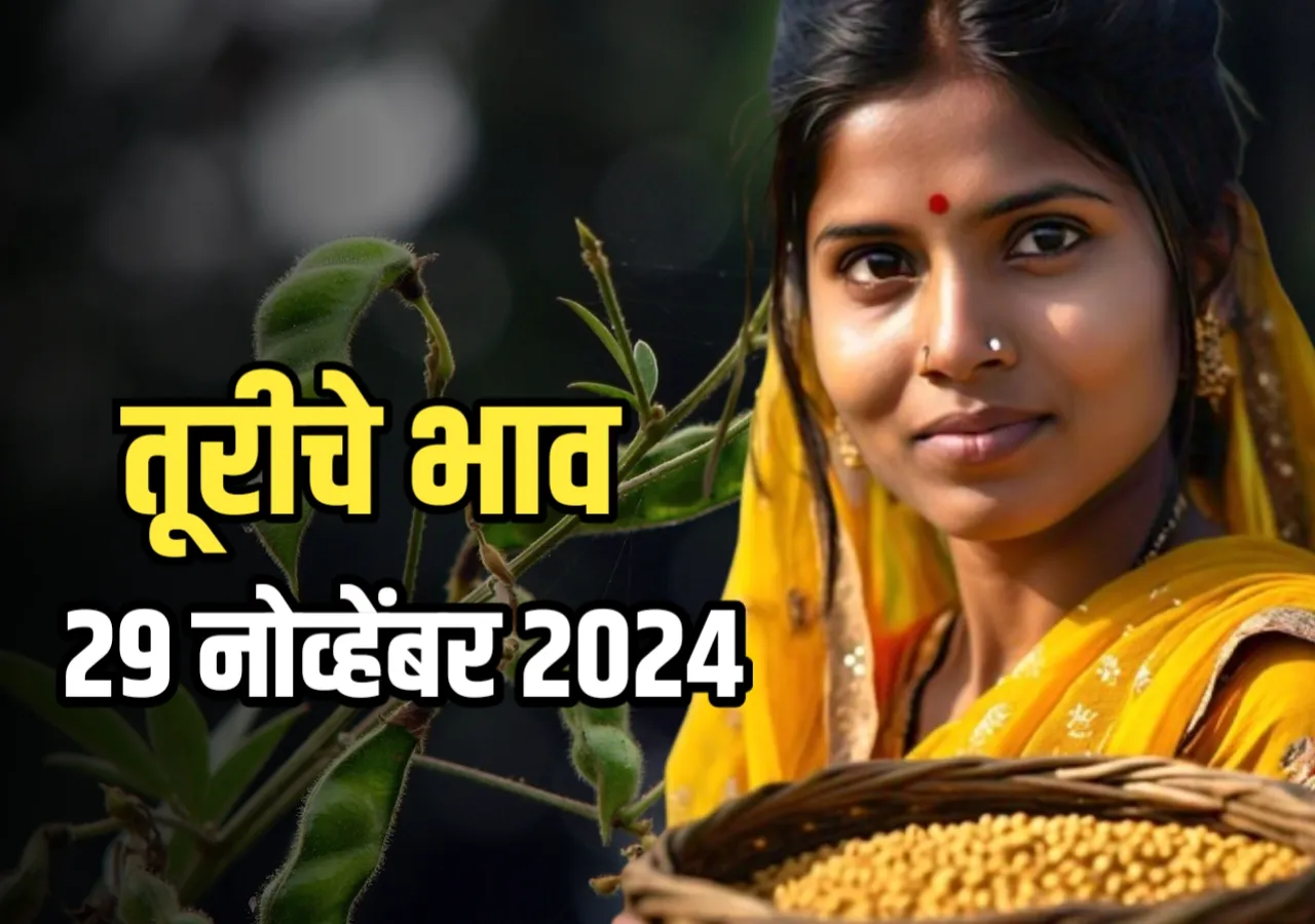 Tur Rate : आजचे तूरीचे भाव | 29 नोव्हेंबर 2024