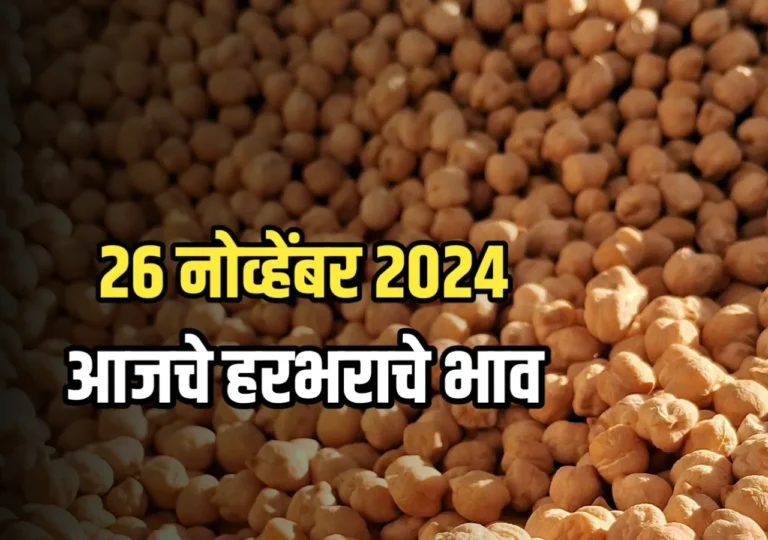 Chana Rate : आजचे हरभराचे भाव | 27 नोव्हेंबर 2024