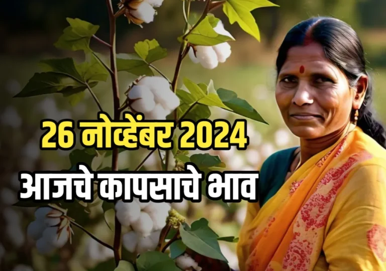 Cotton Rate : आजचे कापसाचे भाव | 27 नोव्हेंबर 2024