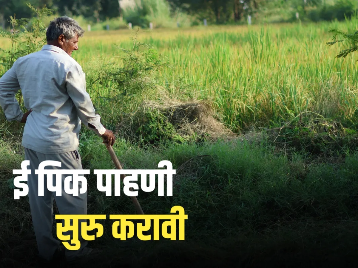 Crop Registration : ई पिक पाहणी सुरु करावी