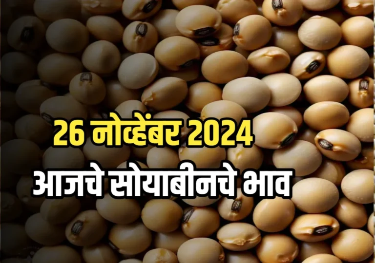 Soybean Rate : आजचे सोयाबीनचे भाव | 27 नोव्हेंबर 2024