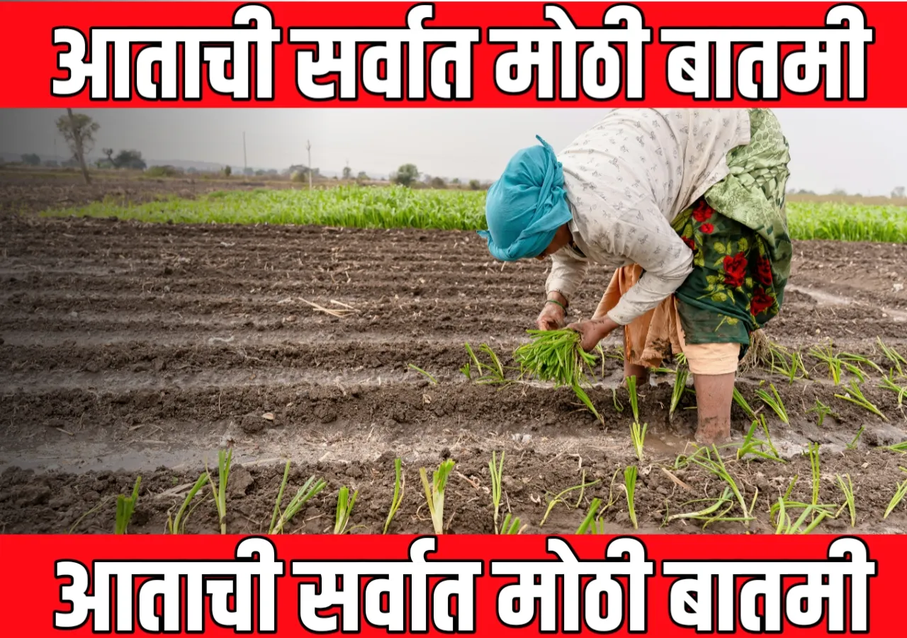 Onions Rate : आजचे कांद्याचे भाव |15 मार्च 2025