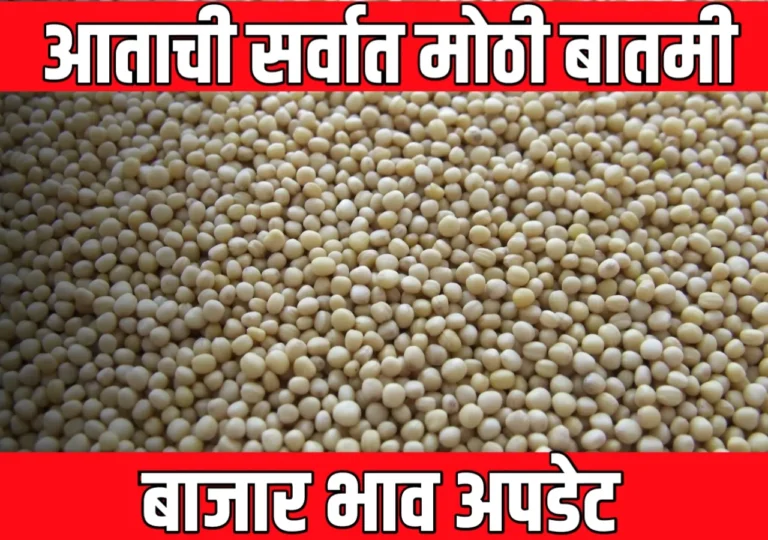 Soybean Rate : आजचे सोयाबीनचे भाव बाजारभाव – 15 मार्च 2025