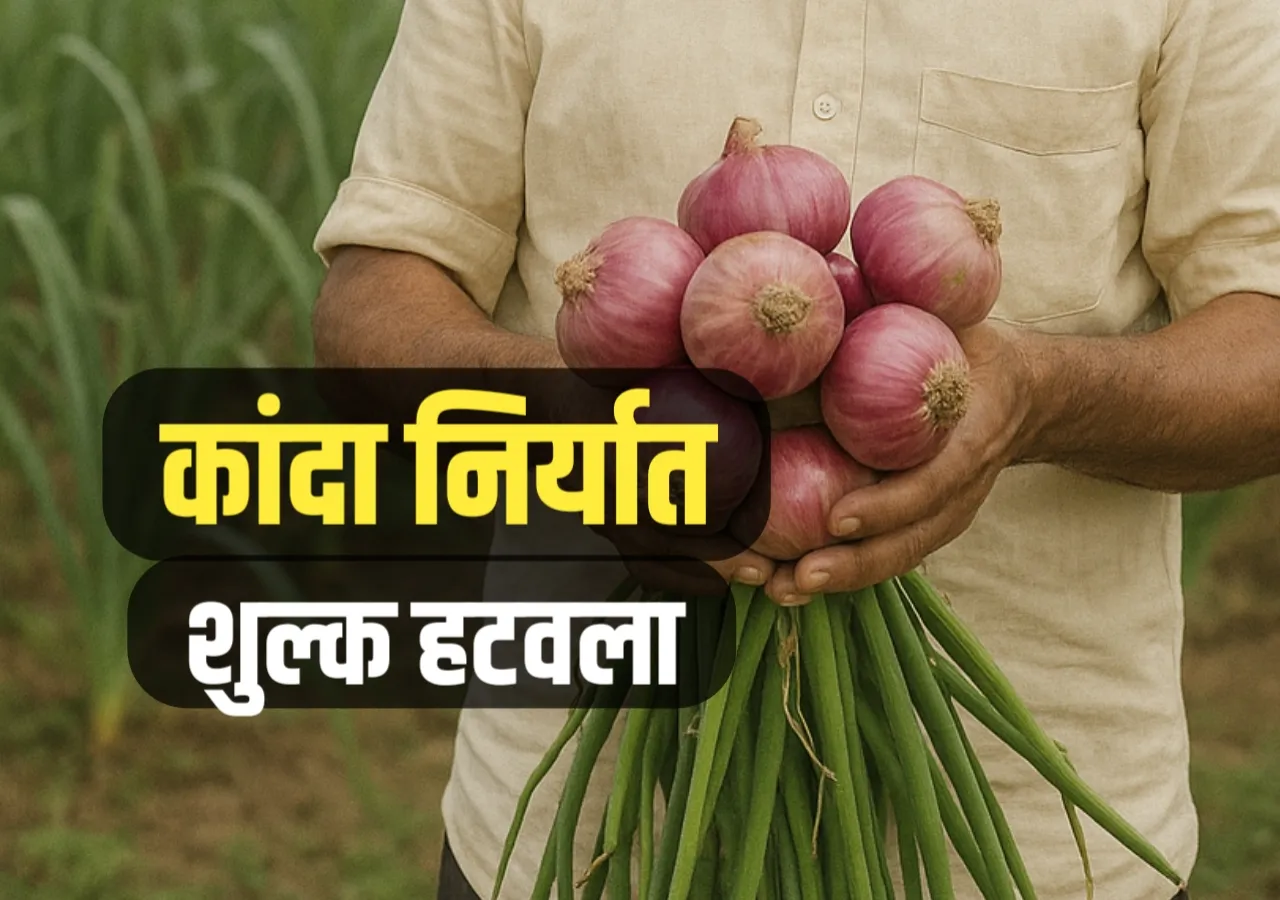 Kanda Niryaat News: कांदा निर्यात शुल्क हटवलं, शेतकऱ्यांसाठी आनंदाची बातमी
