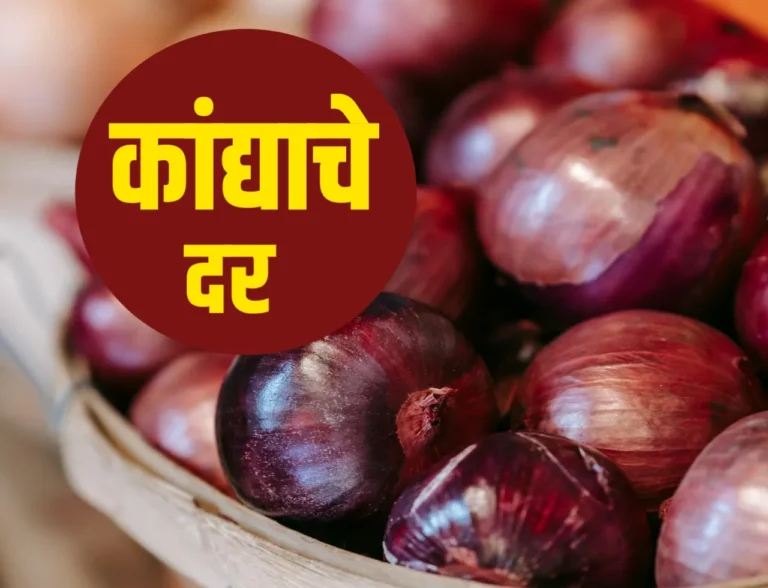आजचे कांद्याचे भाव 7 जुलै 2025 | Onions Rate