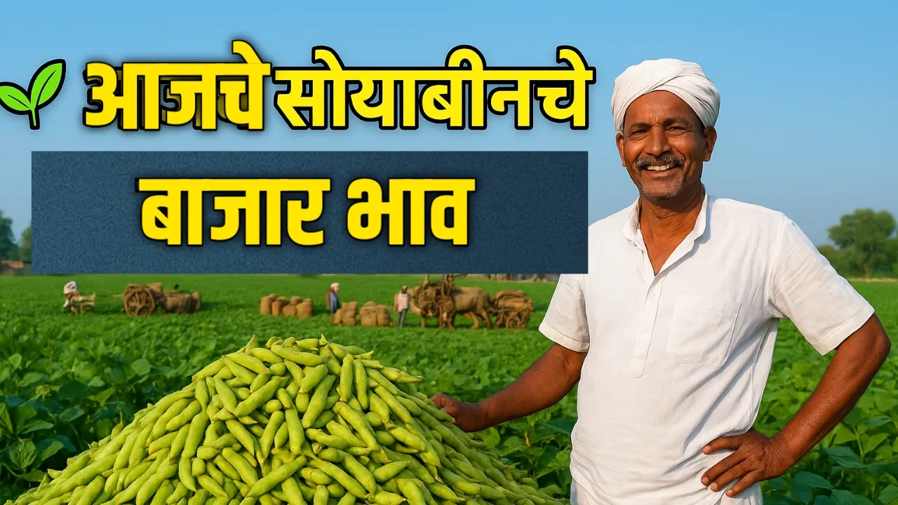 आजचे सोयाबीन बाजारभाव (20 ऑगस्ट 2025) | शेतकऱ्यांसाठी ताजे दर | Soybean Rate