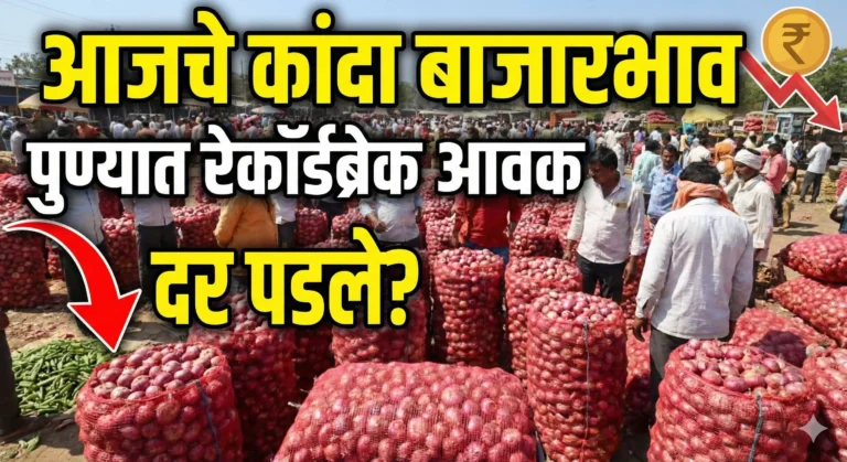 पुणे बाजार समितीत कांद्याची आवक आणि लिलाव (Onion Auction in Pune Market)