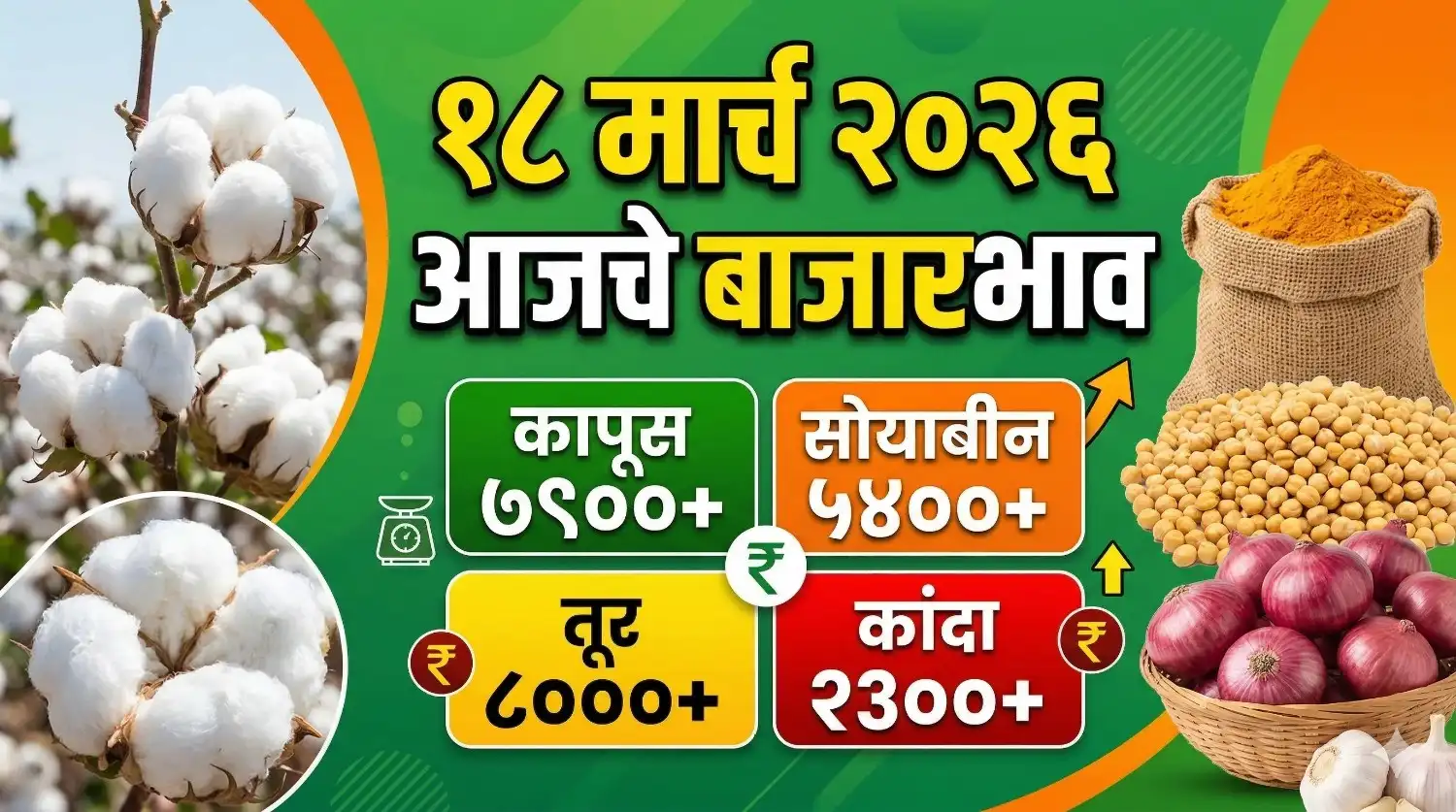 आजचे बाजारभाव १८ मार्च २०२६ कापूस सोयाबीन तूर हरभरा कांदा दर.