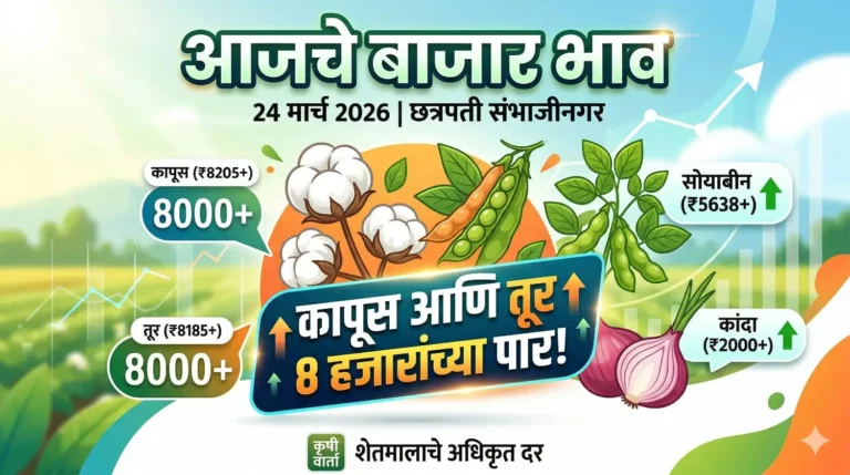 आजचे बाजार भाव २४ मार्च २०२६ कापूस तूर सोयाबीन कांदा दर