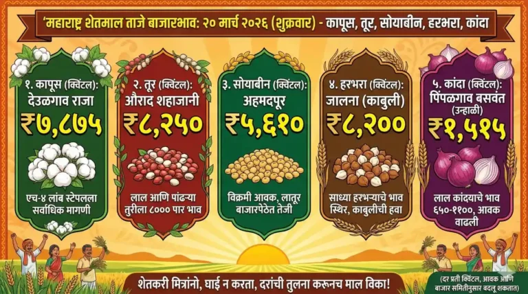 महाराष्ट्रातील शेतमाल बाजारभाव तक्ता २०२६