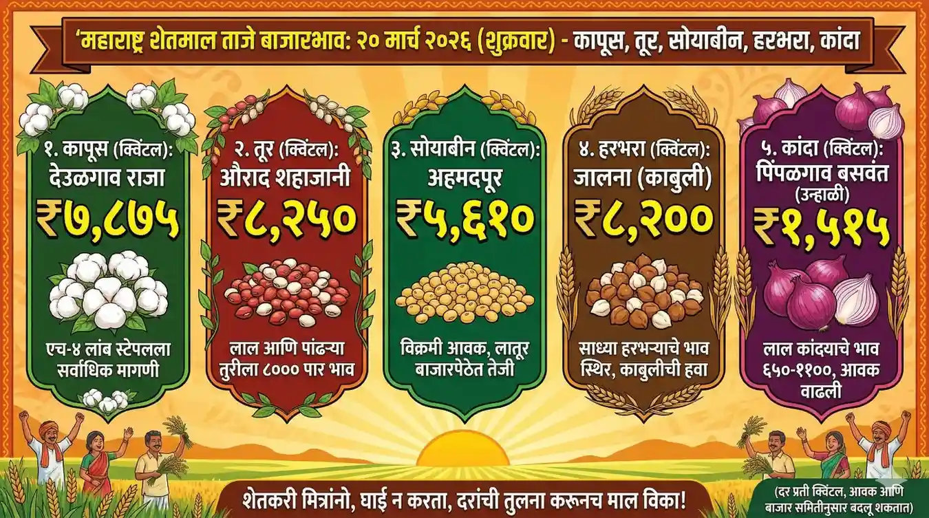 महाराष्ट्रातील शेतमाल बाजारभाव तक्ता २०२६