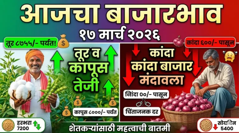 आजचा शेतमाल बाजारभाव - १७ मार्च २०२६ (तूर, कापूस, कांदा दर)